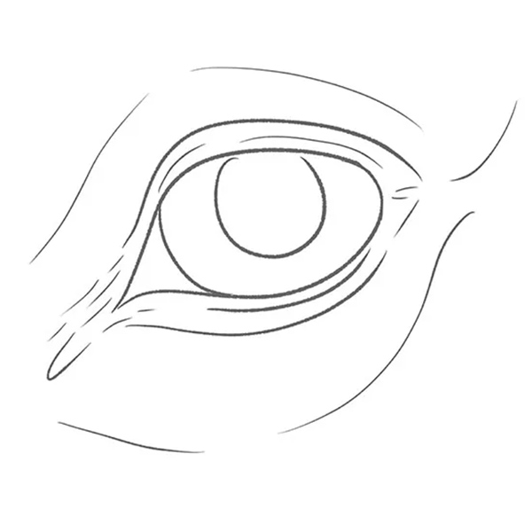 Auge Pferd - Erinnerung an Rico